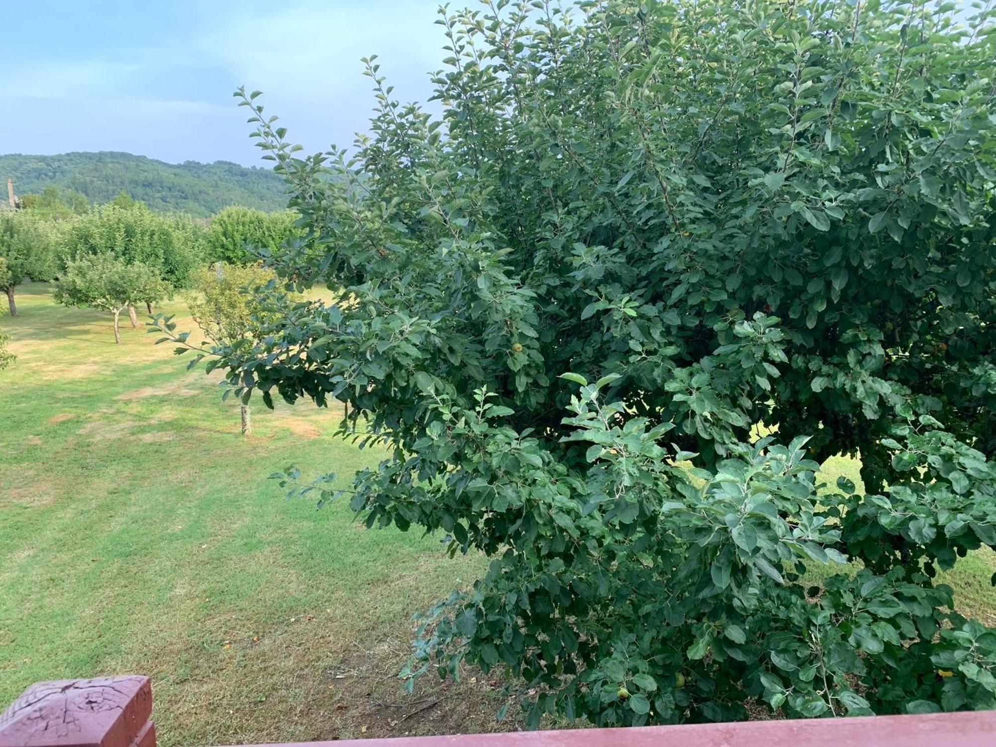 Superbe Duplex Les Belles Rives Argentat Διαμέρισμα Εξωτερικό φωτογραφία